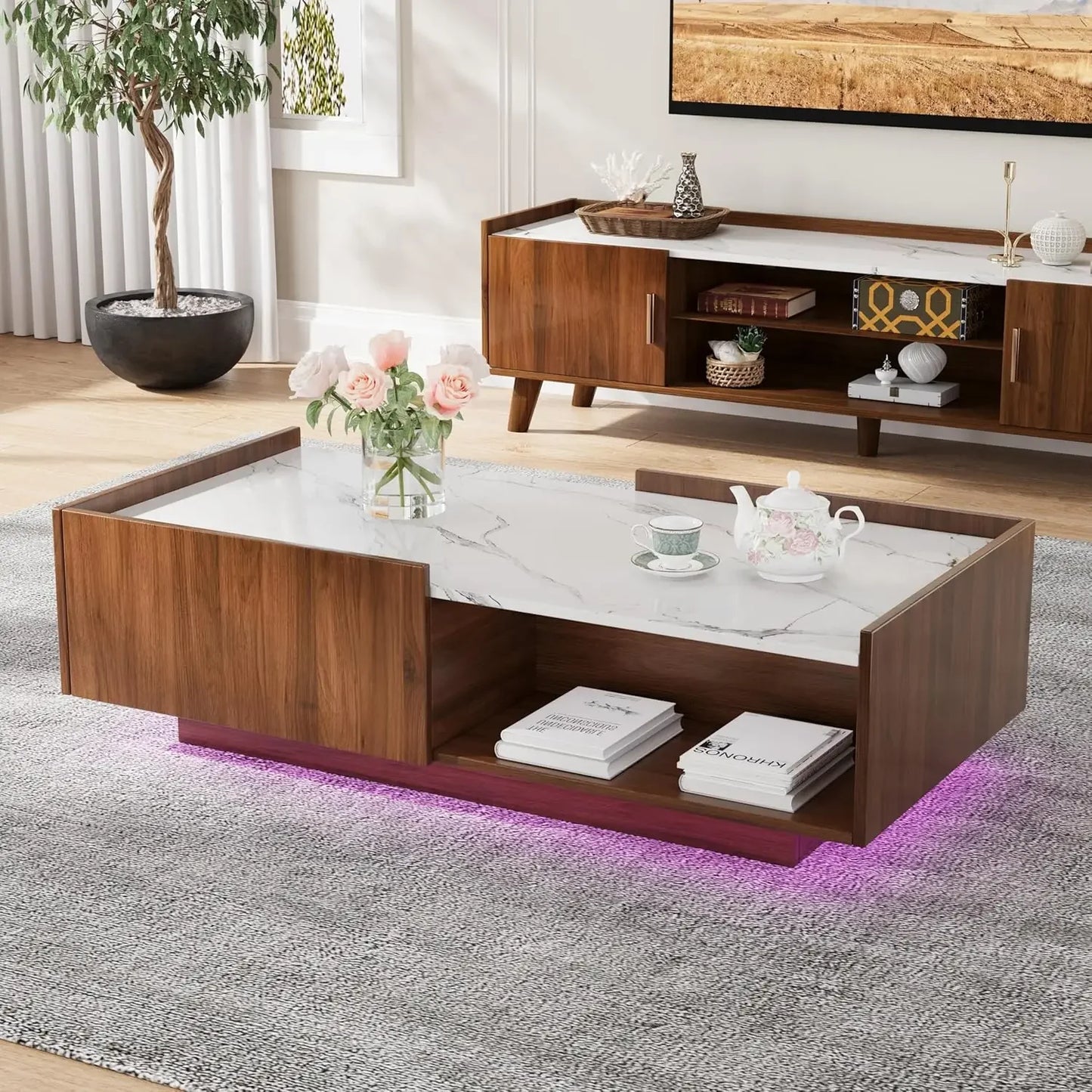 Coffee Tables for Living Room, with Storage Shelf, Hidden Compartment