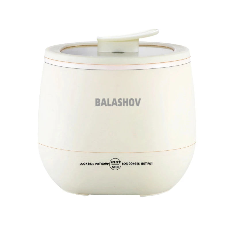 Electric Mini Rice Cooker Non Stick Pots for Cooking Portable Appliances for Kitchen