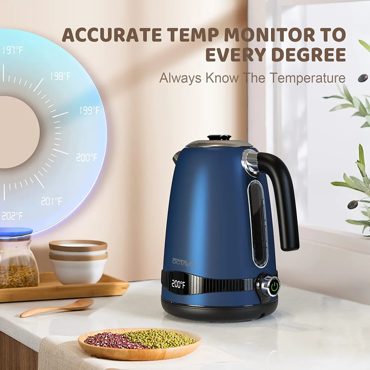 Electric Kettle, US Plug, Temperature Control With Heat Settings  Kitchen and home